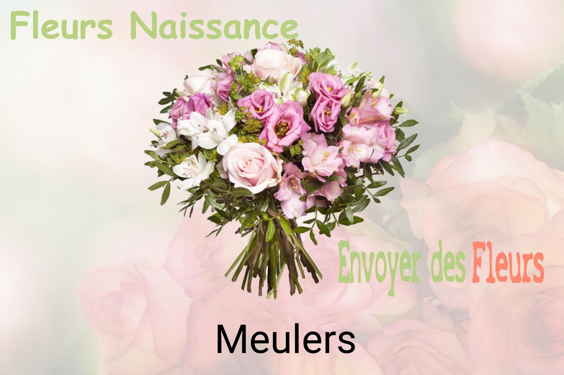 Bouquet de fleurs de naissance livré à Meulers