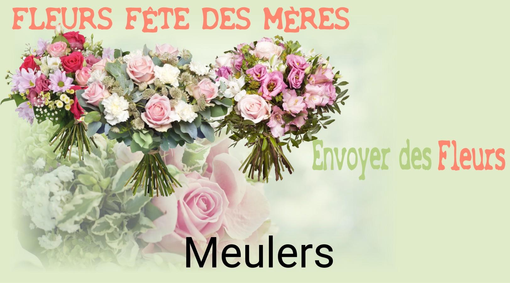 Bouquet de Fête des Mères livré à Meulers